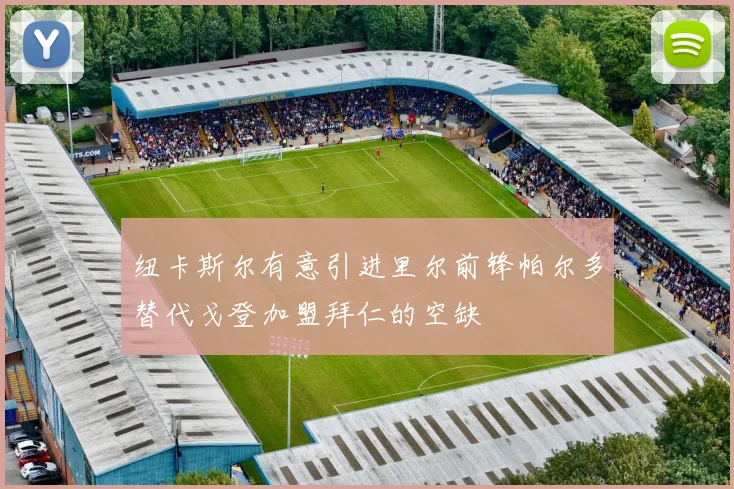 纽卡斯尔有意引进里尔前锋帕尔多替代戈登加盟拜仁的空缺